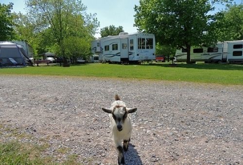 Gettysburg Farm Rv Hotel
